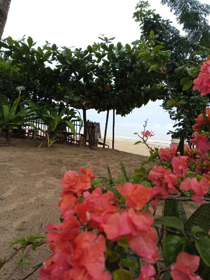 Akoya Beach Park And Cottages Locaroc Ngoại thất bức ảnh